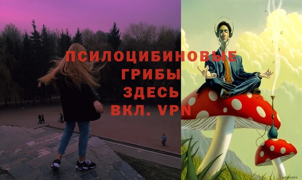 а пвп мука Белокуриха